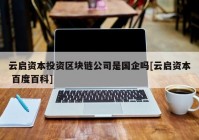 云启资本投资区块链公司是国企吗[云启资本 百度百科]